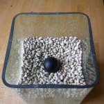 Navy bean container setup
